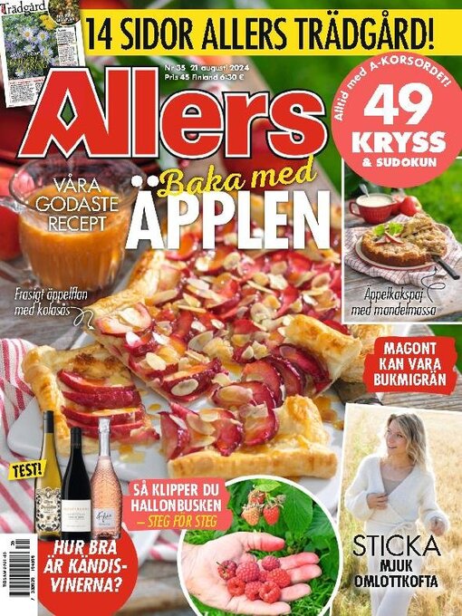 Cover image for Allers SE